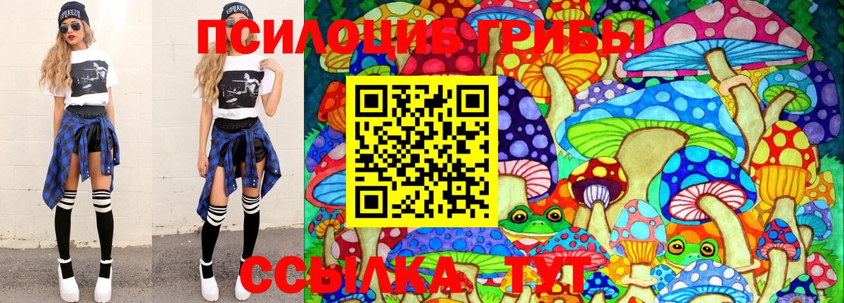 хочу   Галлюциногенные грибы прущие грибы  Вход с VPN  Псилоцибиновые грибы MAGIC MUSHROOMS  Ахтубинск 