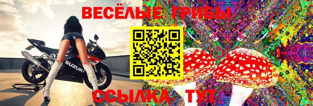 Конопля Ахтубинск