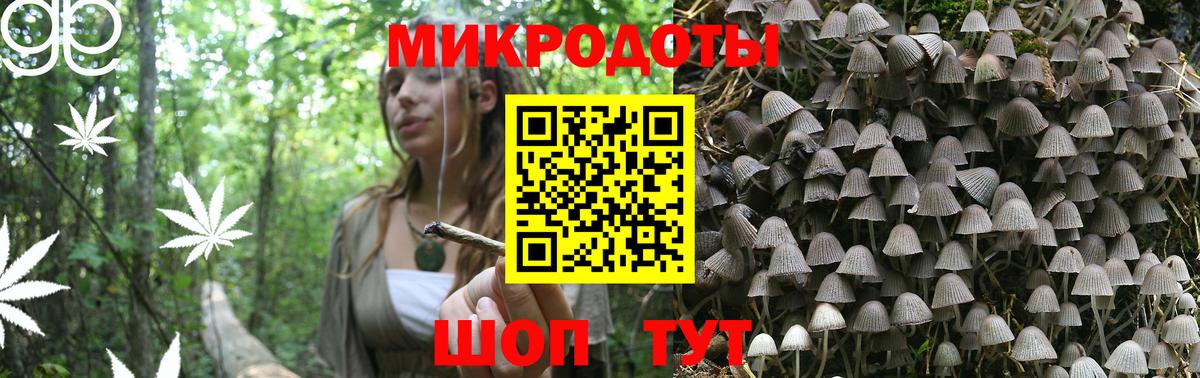Галлюциногенные грибы ЛСД Ахтубинск